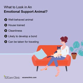 Characteristics to look in an ESA