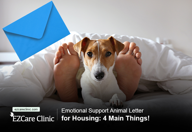 esa letter for housing