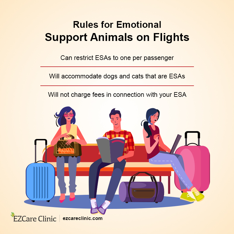Emotional Support
