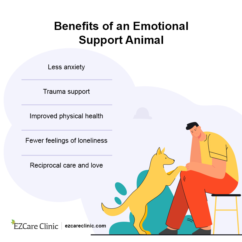 emotional support