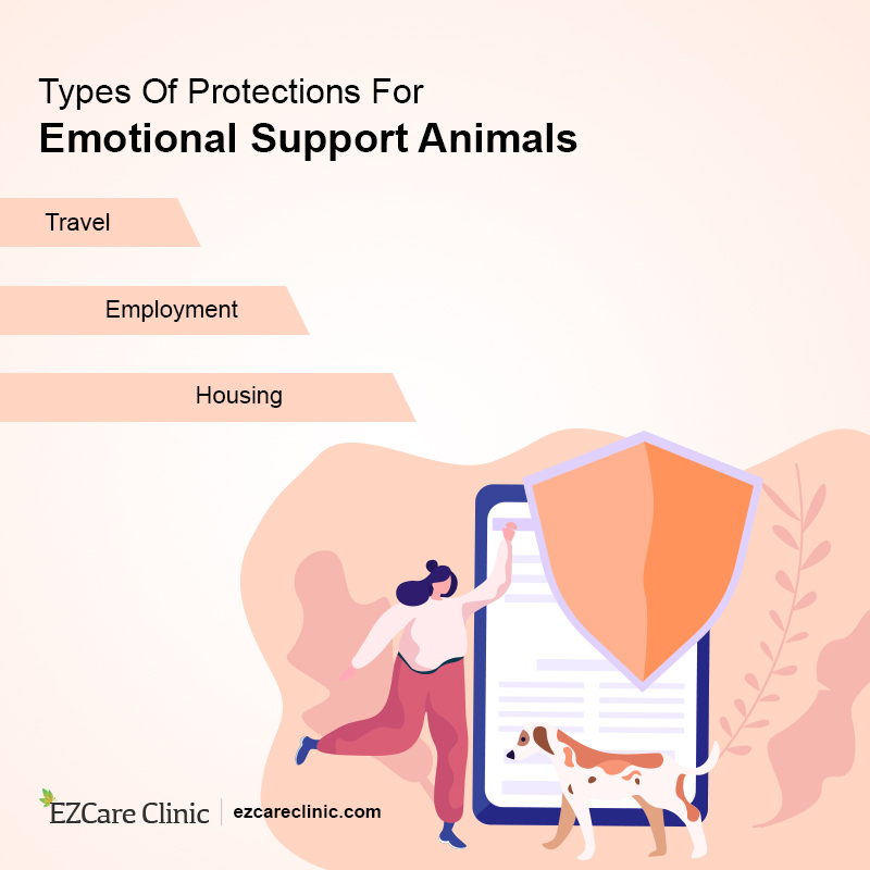 Emotional Support Animal