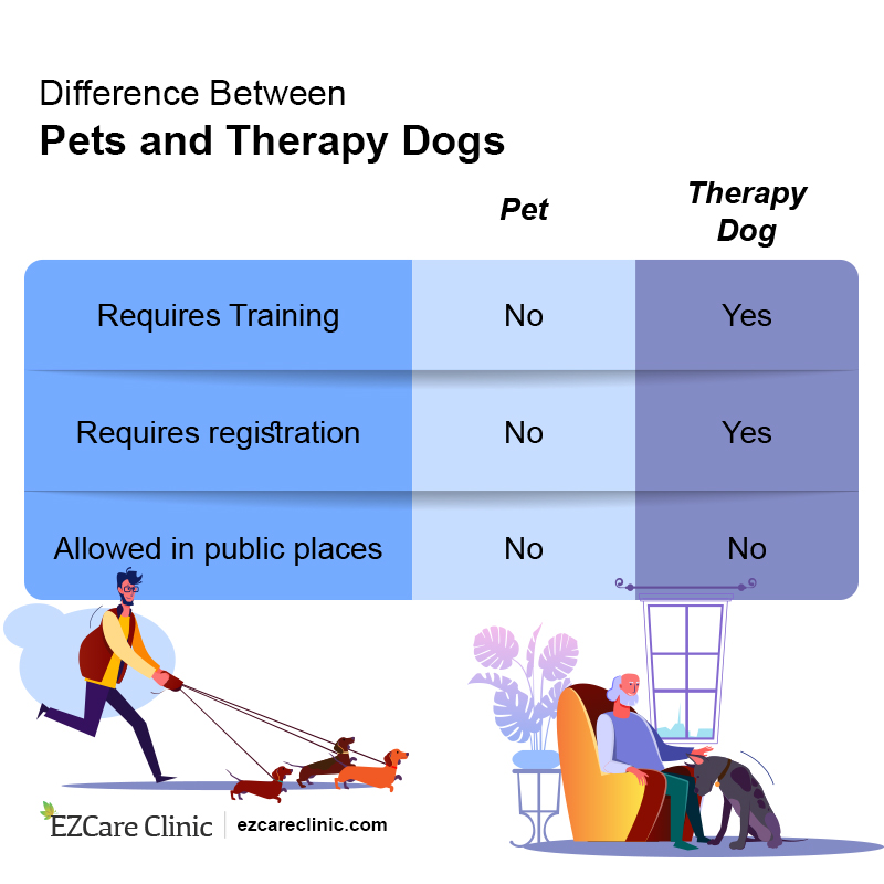 Therapy Dogs