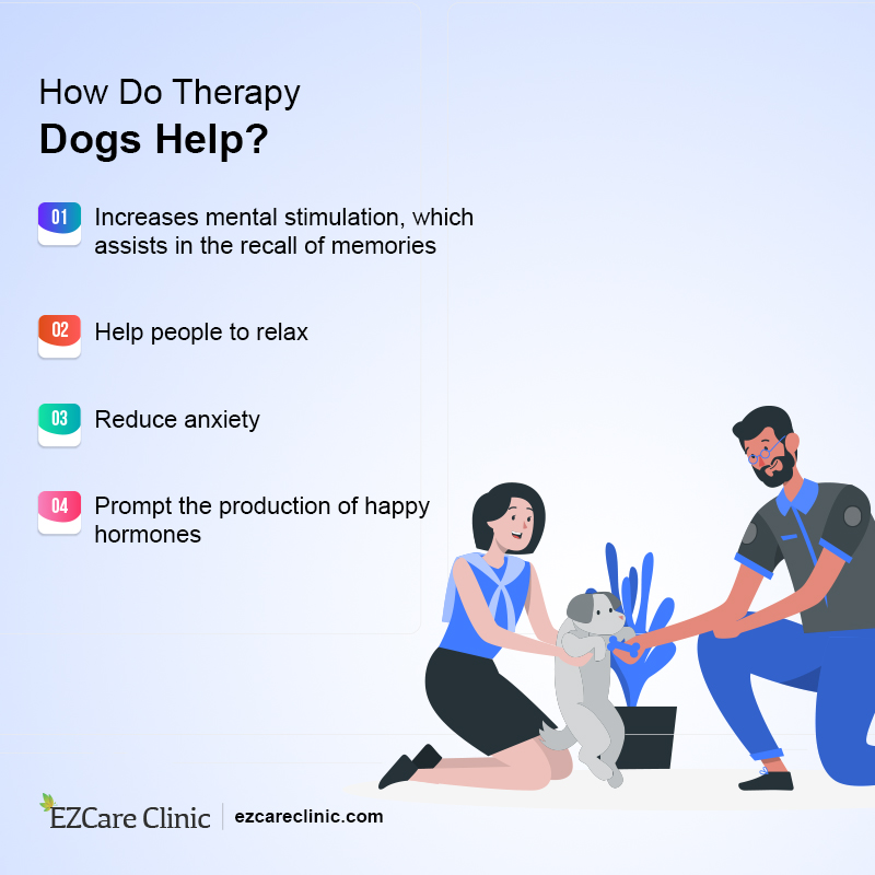 Therapy Dogs