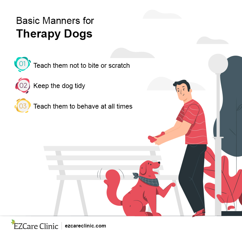 Therapy Dogs