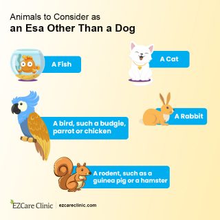 ESA to consider as pets